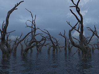 Image showing dead trees