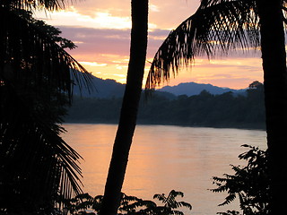 Image showing Palm tree sunset. Luang Prabang. Laos