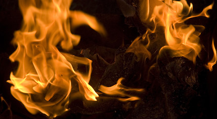 Image showing fire