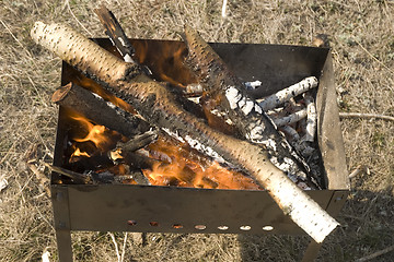 Image showing burning firewood