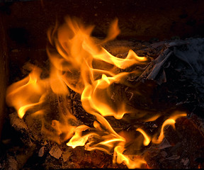 Image showing burning