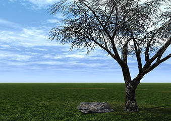 Image showing tree and stone