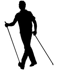 Image showing nordic walking