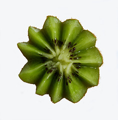 Image showing kiwi front