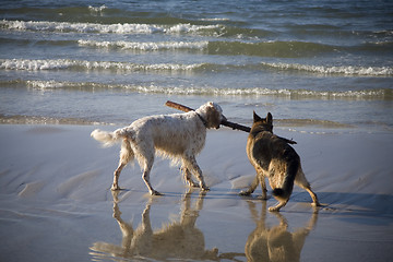 Image showing Lana and Gaspar