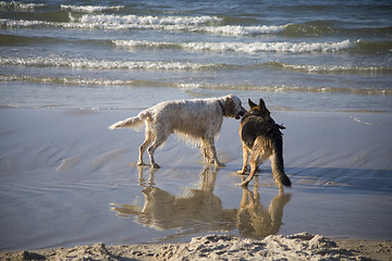 Image showing Lana and Gaspar