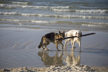 Image showing Lana and Gaspar