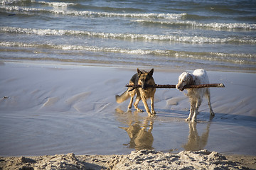 Image showing Lana and Gaspar