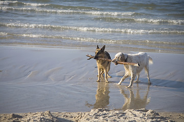 Image showing Lana and Gaspar