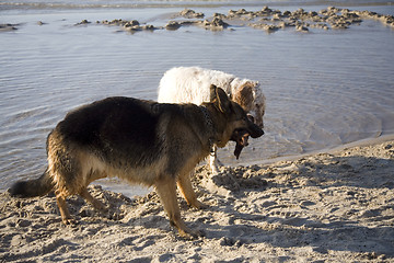 Image showing Lana and Gaspar