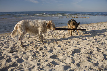 Image showing Lana and Gaspar