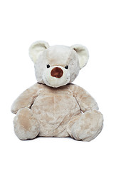 Image showing Cute Teddy bear over white background