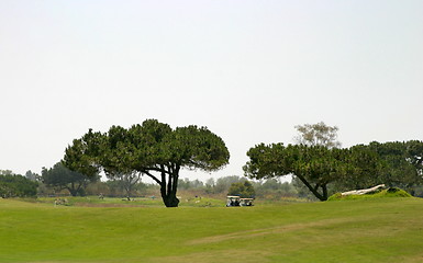 Image showing Golf