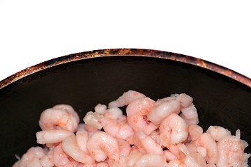 Image showing Shrimp