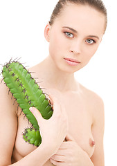 Image showing cactus