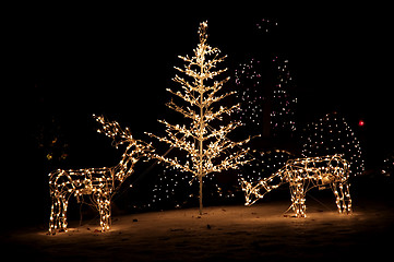 Image showing Christmas Yard Lights