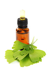 Image showing ginko oil