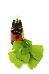 Image showing ginko oil