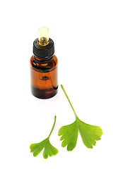 Image showing ginko oil