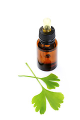 Image showing ginko oil