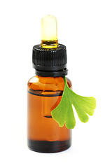 Image showing ginko oil