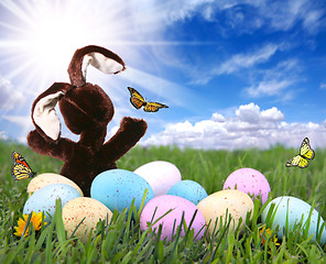 Image showing Field With Easter Bunny Rabbit Eggs and Butterflies
