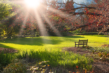 Image showing Bench in the park at Sunset