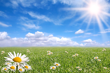 Image showing Happy  Bright Spring Day Outside