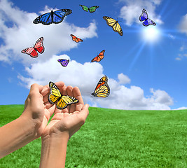 Image showing Happy Bright Landscape WIth Butterflies