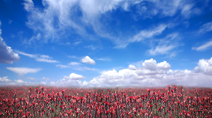 Image showing Beautiful Countryside in America