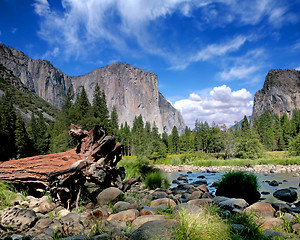 Image showing El Capitan View in Yosemite Nation Park