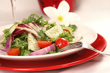 Image showing Healthy Salad on a Red Plate