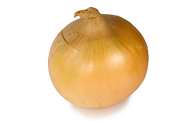 Image showing Onion isolated on white background with clipping path