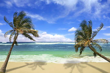 Image showing Island Pardise Beach in Hawaii