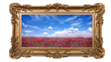 Image showing Framed Field of Pretty Red Flowers and Beautiful Sky