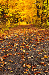 Image showing Autumn path