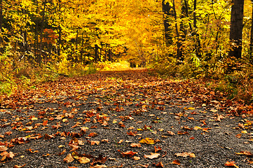 Image showing Autumn path