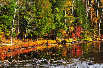 Image showing Fall forest and lake shore