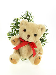 Image showing Stuffed Teddy