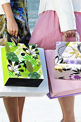 Image showing Women holding shopping bags