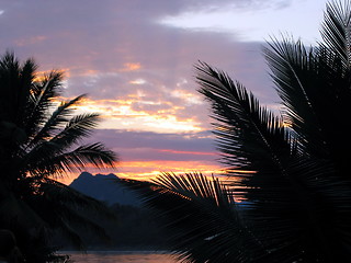 Image showing Palm trees and blazing skies. Luang Prabang. Laos