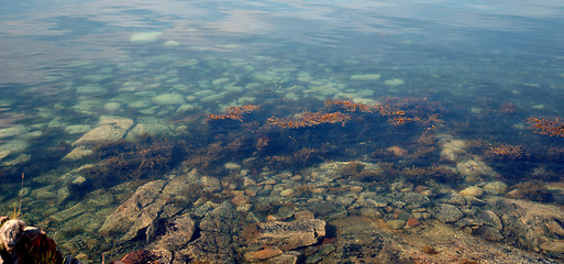 Image showing Clear Water