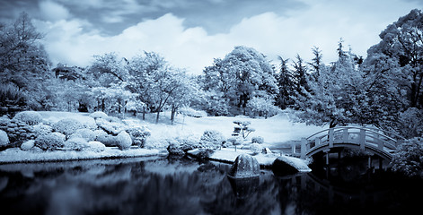 Image showing Japanese garden