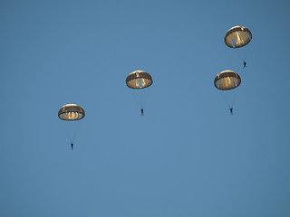 Image showing Group of parachutists