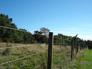 Image showing A summers day