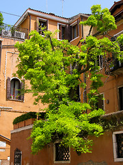 Image showing House in Venice