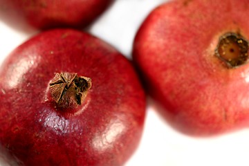 Image showing Pomegranate