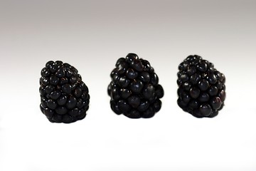 Image showing Blackberry