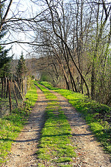 Image showing Village road