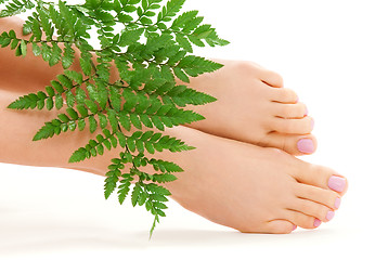 Image showing female feet with green leaf